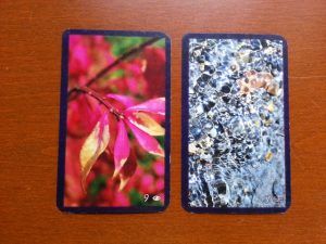 Reach a deeper level of Gratitude by sharing your thing using Active Gratitude. Teresa Deak's 2 card reading will help you find out what your thing is.