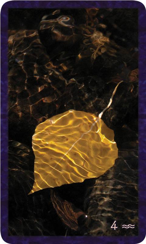Macro photo of fall leaf under shimmering water. Gratitude Tarot card Four of Community: darkness beckons but light of soul-family blasts through it.