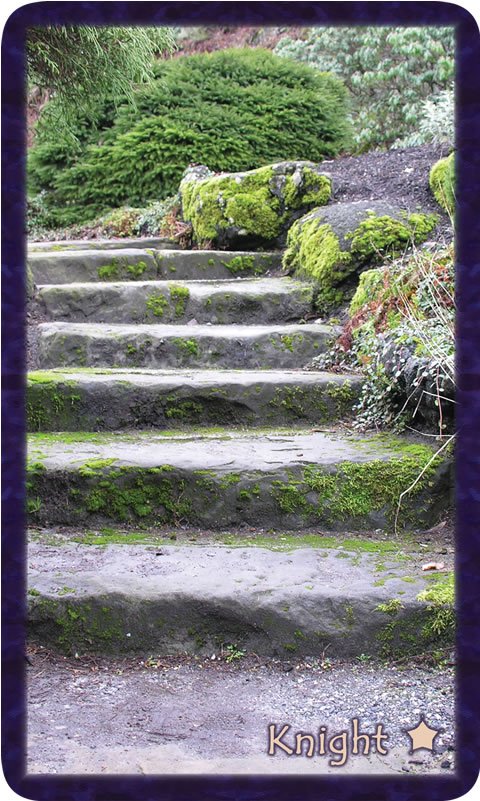 Photo of rising quarry steps within the greenery of winter. Gratitude Tarot card Knight of Thankfulness: desire to rest melts in this focused effort.