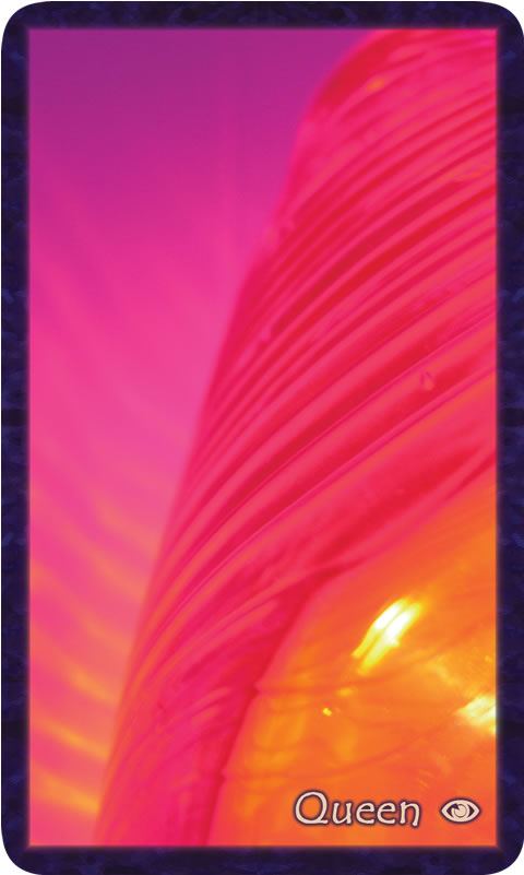Macro photo of brilliant pink and yellow lit from within. Gratitude Tarot card Queen of Awareness: hold these wild desires sacred to shine your light.