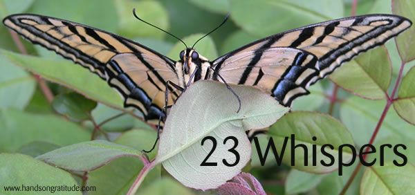 A butterfly invocation for each of the 23 cards in the major arcana of the Gratitude Tarot