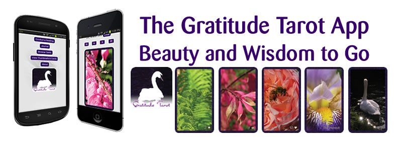 The Gratitude Tarot is available as an app for iOS and Android. You can have your Hands on Gratitude wherever you are.
