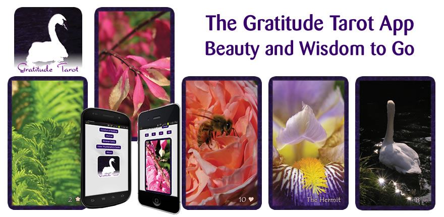 Put your Hands on Gratitude with the Gratitude Tarot App for iOS and Android