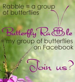 A rabble is a group of butterflies. The Butterfly Rabble is my group of Butterflies on Facebook.