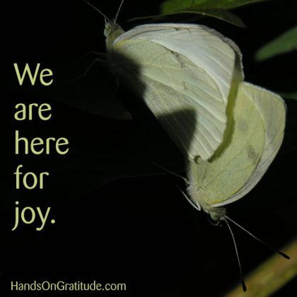 One of my beliefs: we are here to experience joy.