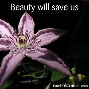 Beauty will save us.