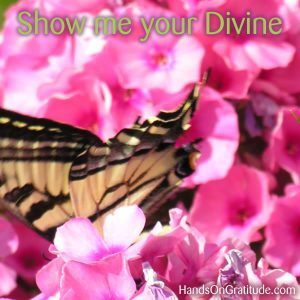 I'll show you the Divine in me - butterflies! Will you show me the Divine in you?