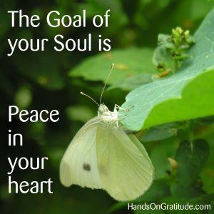 The Goal of your Soul is Peace in your heart. And butterflies can help you get there.