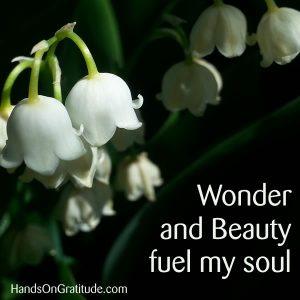 Wonder and Beauty fuel my soul. Let me share how.