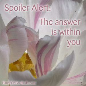 Spoiler alert: the answer is within you. Macro photos of white and pink tulip with bright yellow at its center.