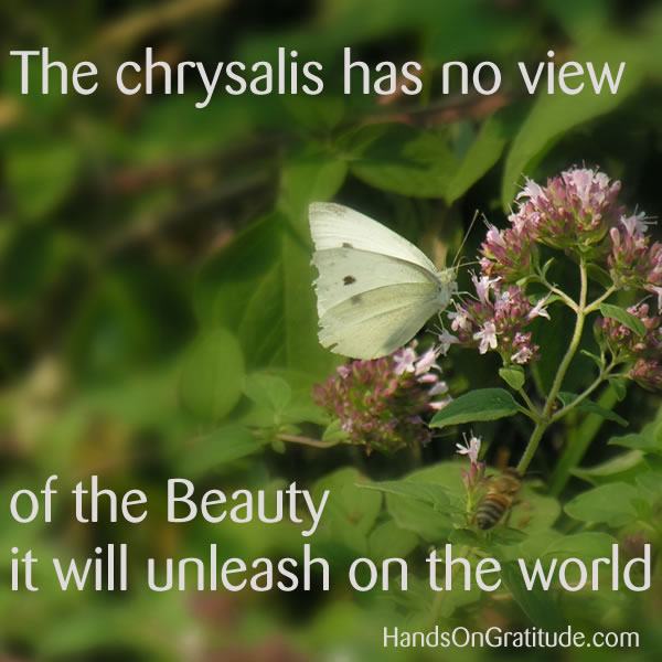 The chrysalis has no view of the Beauty it will unleash on the world. Macro photo of bee and soft yellow butterfly on pink and green flowers.