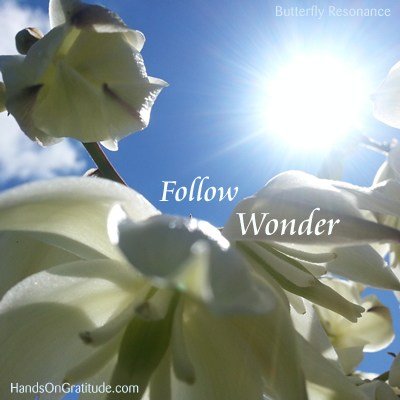 Butterfly Resonance Image: Macro photo of white yucca flowers with starred sun in blue sky background bearing the message to Follow Wonder.