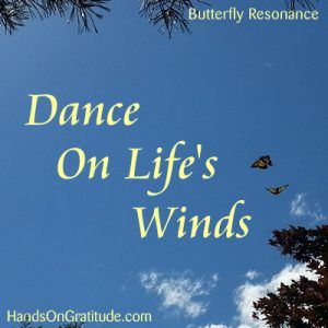 Butterfly Resonance Image: Photo of yellow swallowtail butterflies dancing in a rich blue sky.