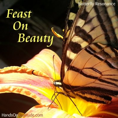 Butterfly Resonance Image: Macro photo of yellow swallowtail butterfly feasting on a lily.