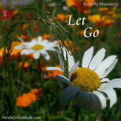 Butterfly Resonance Image: Macro photo of a white and yellow daisy holding onto wild green grass reminding us to Let Go.