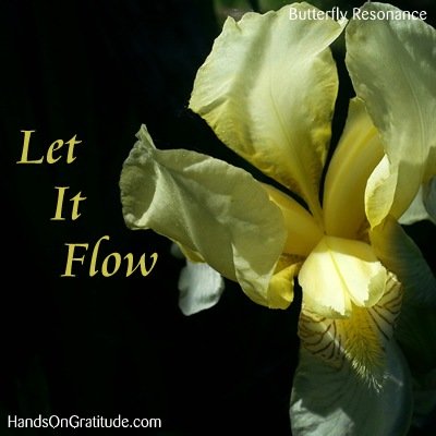 Butterfly Resonance Image: Macro photo of yellow iris against a near black background with the message to Let It Flow.