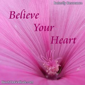 Butterfly Resonance Image: Macro photo of pink mallow flower with the message to believe your heart.