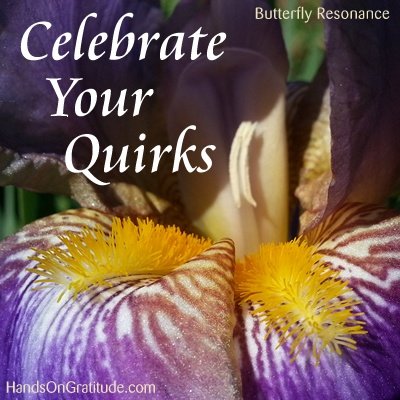 Butterfly Resonance Image: macro photo of double petal purple and yellow iris.
