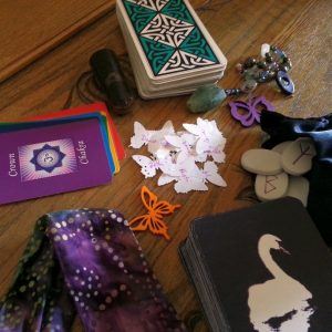 Shared Shaman's Choice butterflies and spiritual agents ready to connect and be chosen Sept 25 2013