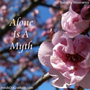 Butterfly Resonance Image: Macro photo of pink blossoms against blue sky with the message that you are never alone.