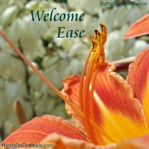 Butterfly Resonance Image: Macro photo of orange yellow lily with white yucca flowers with the message to Welcome Ease.