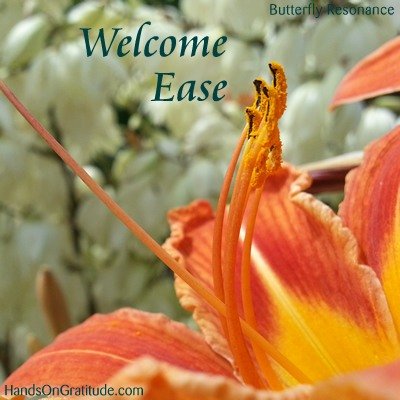 Butterfly Resonance Image: Macro photo of orange yellow lily with white yucca flowers with the message to Welcome Ease.