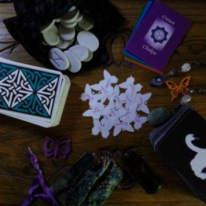 Sept 27 Shared Shaman's Choice Session - butterflies and spiritual agents at the ready.