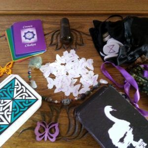 The Butterflies surrounded by my spiritual agents, ready to activate of the Shared Shaman's Choice Session on October 7, 2013