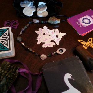 Butterflies and spiritual agents gathered and ready to activate for the Shared Shaman's Choice Session of October 14, 2013