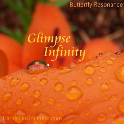 Butterfly Resonance Image: Macro photo of orange lily magnified in a water drop with the message to Glimpse Infinity in the intricate and tiny.