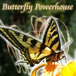Tap Into Butterfly Power Visit the Butterfly PowerHouse to Tap Into whichever Butterfly Power your heart needs today.