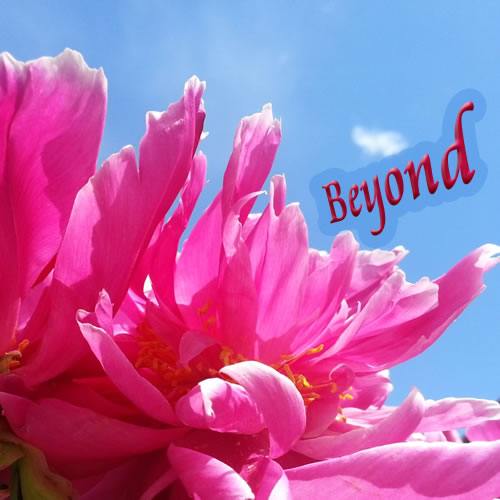 Macro photo of pink peony against bright blue sky, overlaid with my word for the year: Beyond.