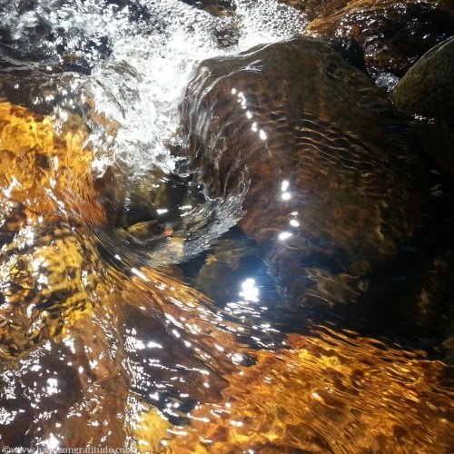 Macro photo of sunlight on moving water swirling over brown and golden rocks, the shore itself changing the water, rearranging the shape of its ripples.