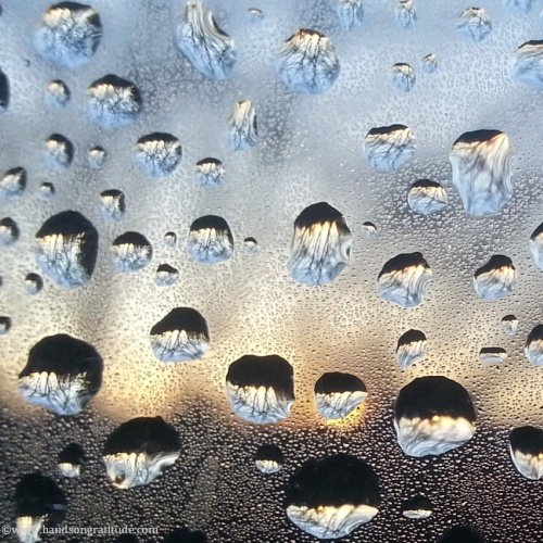 Macro photo of frost drops thawing on a window, reflecting sky and tree and the heaviness of earth.
