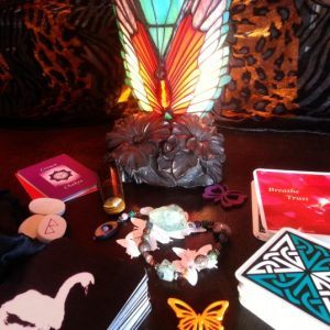 The butterflies and spiritual agents glowing and at the ready for the Shared Shaman's Choice Session of February 5, 2014.