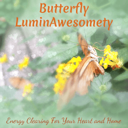 Bring glow and flow into your home or business with a Butterfly LuminAwesomety energy clearing. Let's shift that energy so it will nourish and support you.