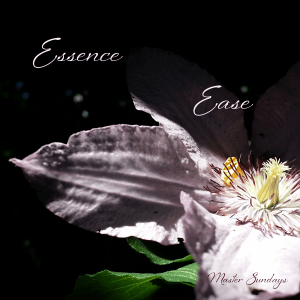 My word for 2015 is Essence and my word for you in 2015 is Ease. Opening, revealing, celebrating the essence of ease in Master Sundays and more.