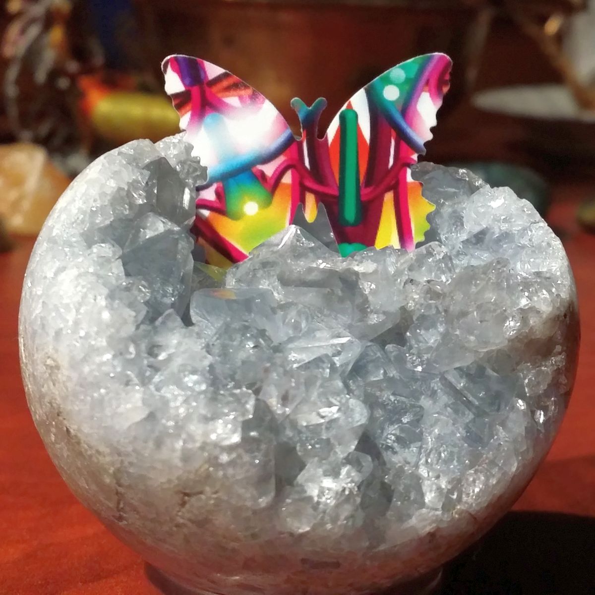 A butterfly soaks up the essence of celestite in a Rock The Butterfly Essence session.