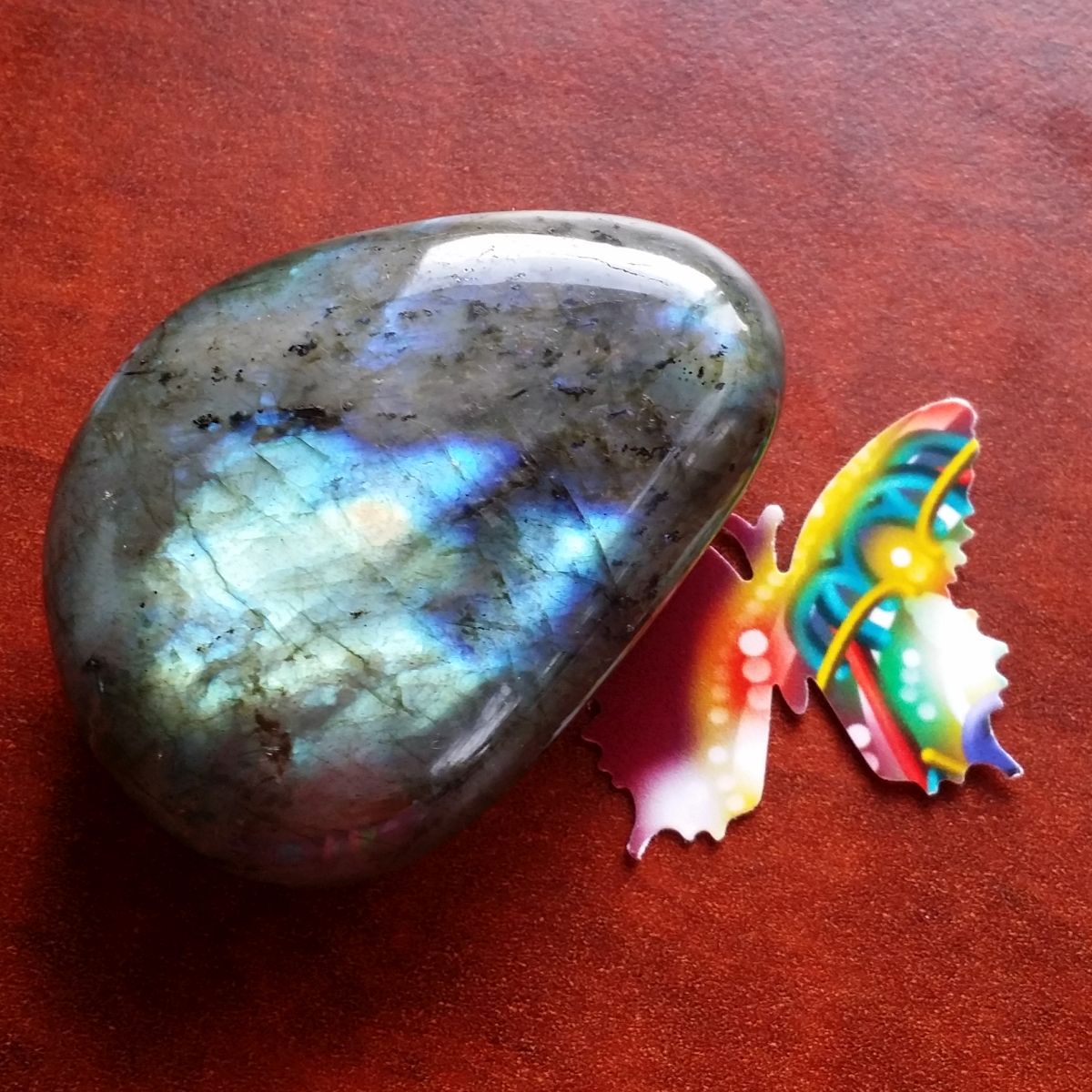 A butterfly soaks up the essence of labradorite in a Rock The Butterfly Essence Session.