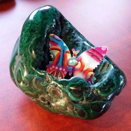 A butterfly soaks up the essence of malachite in a Rock The Butterfly Essence session.