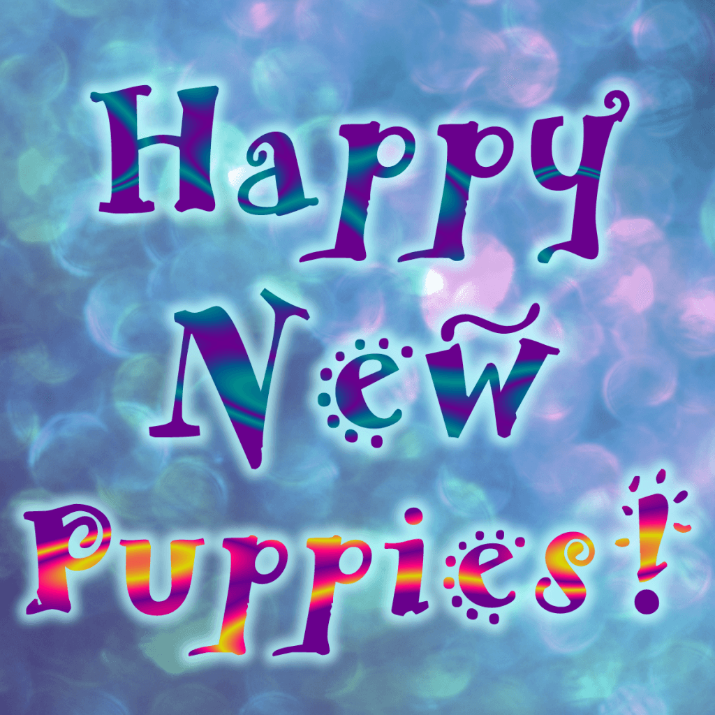 New Year greetings have quite the different spin in 2016, what with the surprise puppies and all.