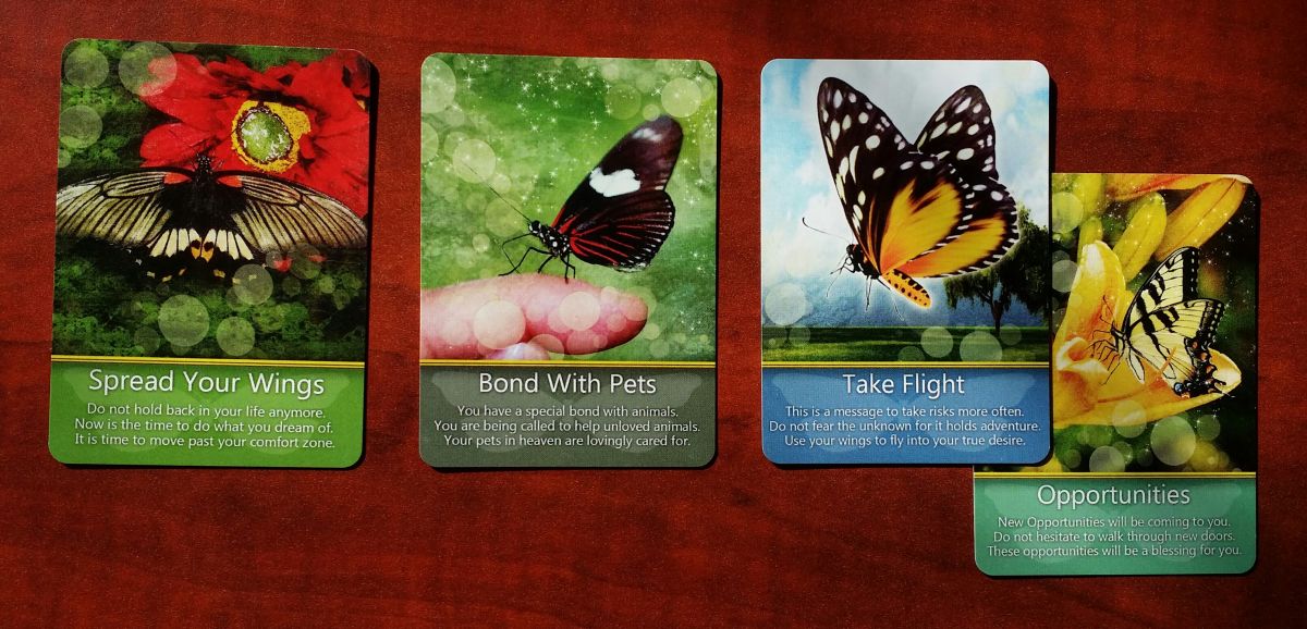 Teresa Deak drew 3 cards from the Butterfly Visions Oracle Deck - which butterfly message is for you?