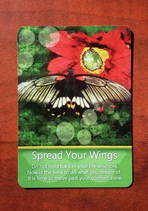 Butterfly Message on Card 1 is Spread Your Wings