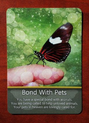 Butterfly Message on Card 2 is Bond With Pets