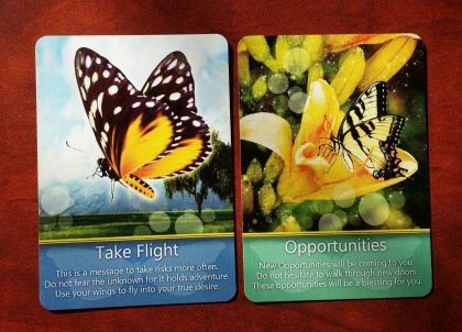 Butterfly Message for Card 3 came from 2 cards! Take Flight and Opportunities