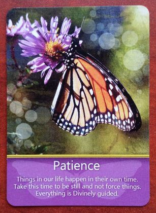 From Jeri Totten's Butterfly Visions Oracle Deck is the Patience card. How is patience showing up for you this week?