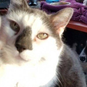 Thursday, November 10, 2016