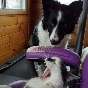 Sunday, November 13, 2016