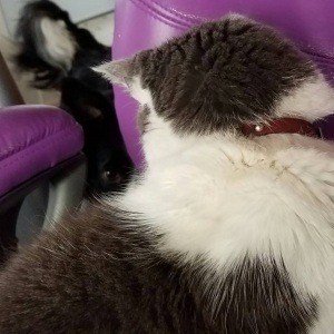 Friday, November 18, 2016