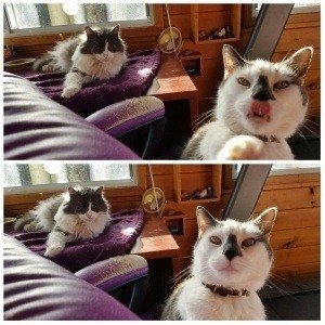 Monday, November 28, 2016